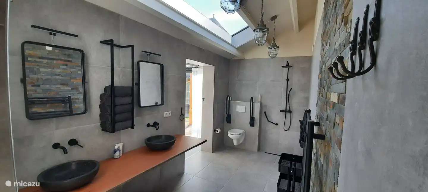 Badezimmer mit Duschstuhl, Toilettenhalterung, Kippspiegel.