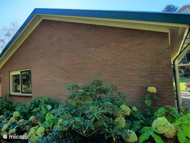 Location de Vacances Pays-Bas, Gueldre, Zelhem, bungalow - Le bungalow Reekamp 1 Vue extérieure