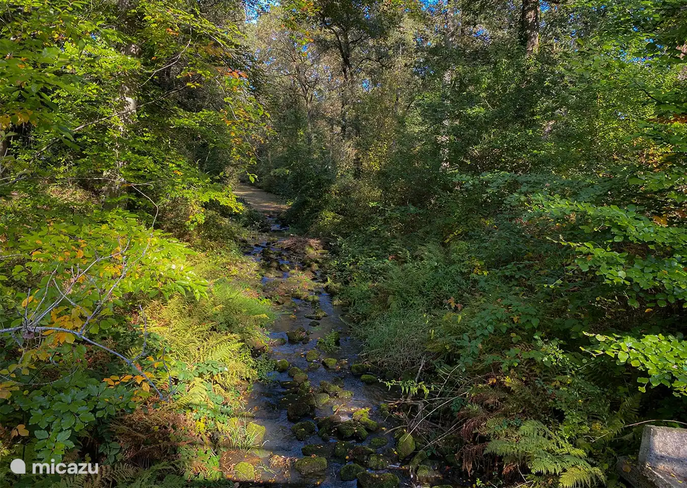 Blick auf die Twickelervaart neben Landgoed van Leeuwen, wo man mit genügend Geduld den schönen Eisvogel sehen kann.