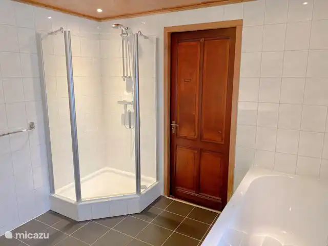 Domaine de Leeuwen - Twente | Pays-Bas, Overijssel, Delden - villa Spacieuse salle de bain de luxe avec baignoire, toilettes, double vasque, sèche-linge, lave-linge et cabine de douche