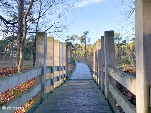 Domaine de Leeuwen - Twente | Pays-Bas, Overijssel, Delden - villa La belle promenade de l'Umfassungsweg van Twickel