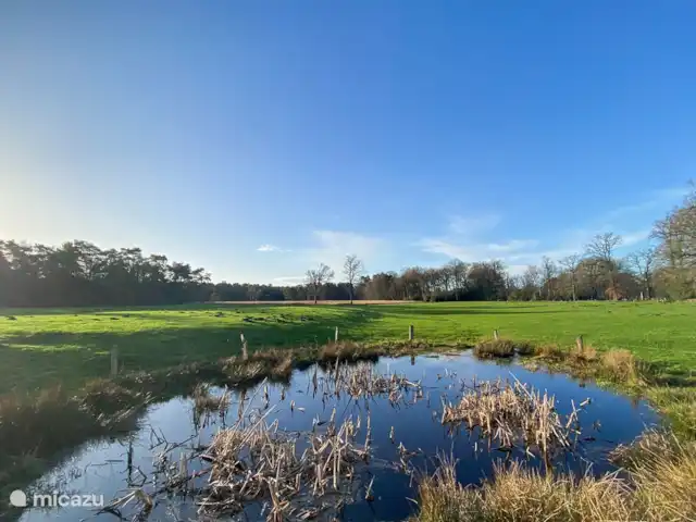 Domaine de Leeuwen - Twente | Pays-Bas, Overijssel, Delden - villa Vue le long de l'Umfassungsweg depuis Twickel