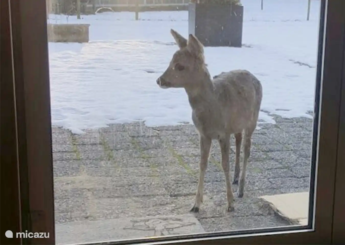 Unser süßer kleiner Freund!