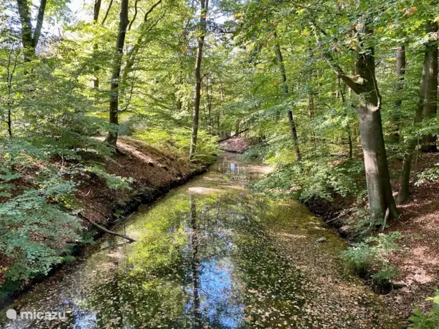 Domaine de Leeuwen - Twente | Pays-Bas, Overijssel, Delden - villa Le canal de Twickel