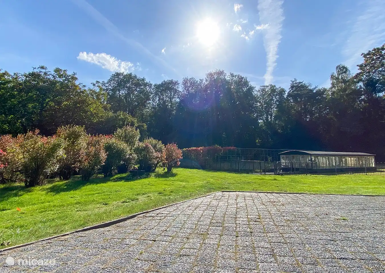 Blick von der Terrasse auf den Heidelbeergarten und das alte Gewächshaus.