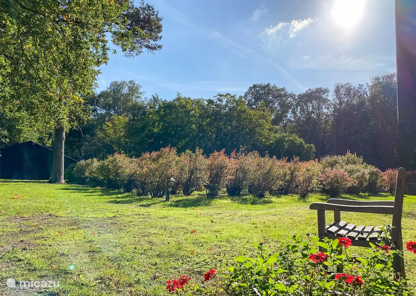 Blick in den Heidelbeergarten