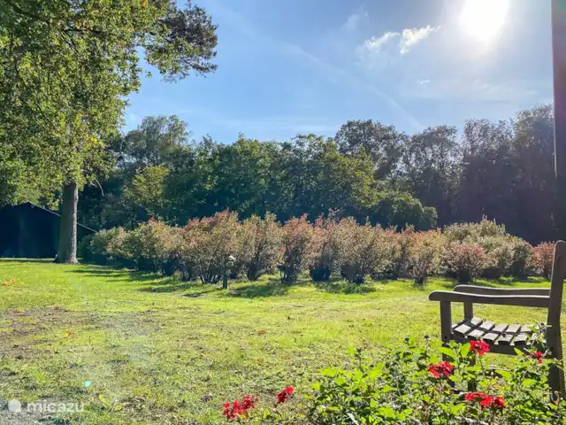 Domaine de Leeuwen - Twente | Pays-Bas, Overijssel, Delden - villa Vue sur le jardin des myrtilles