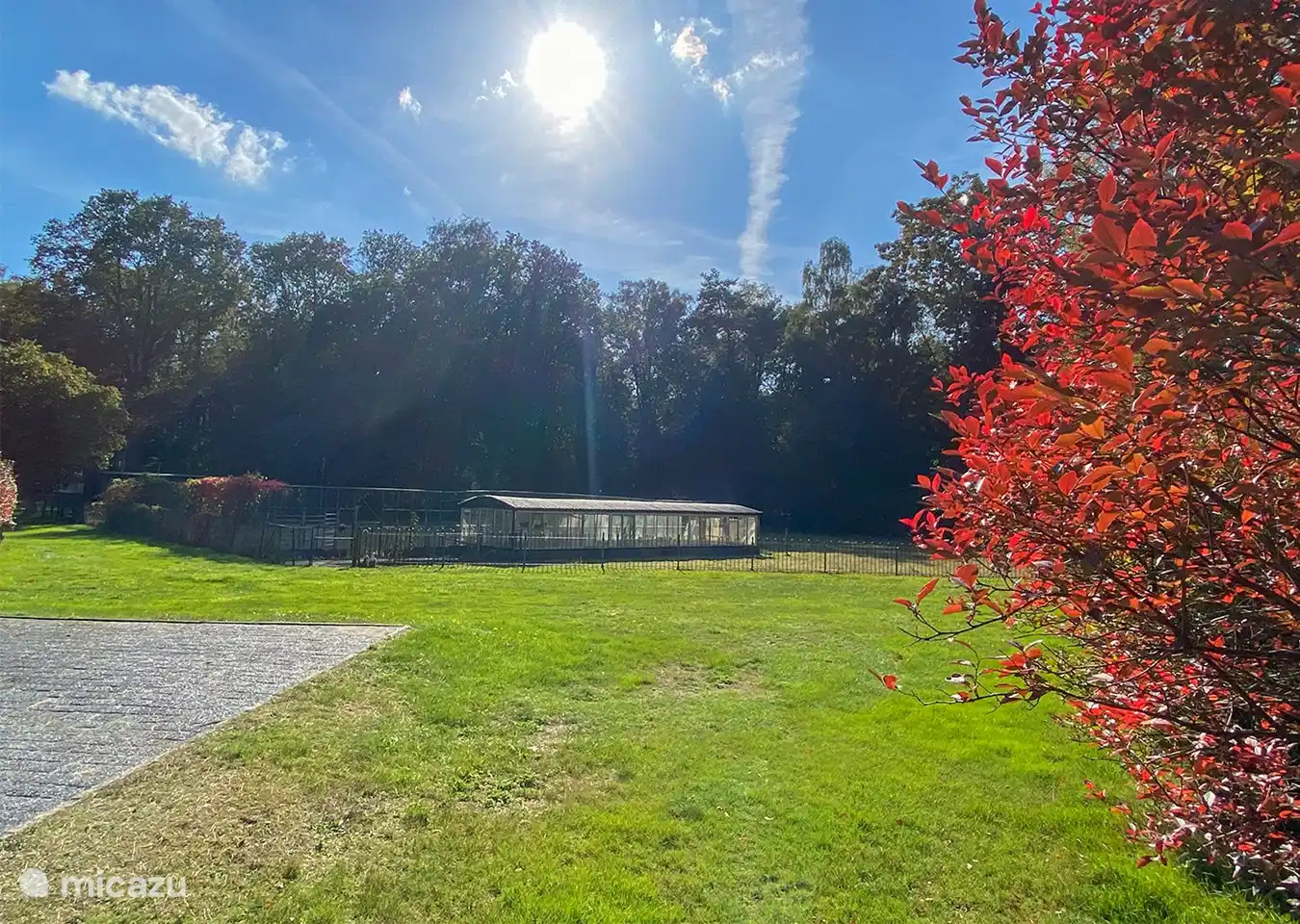 Blick von der Terrasse auf das alte Gewächshaus