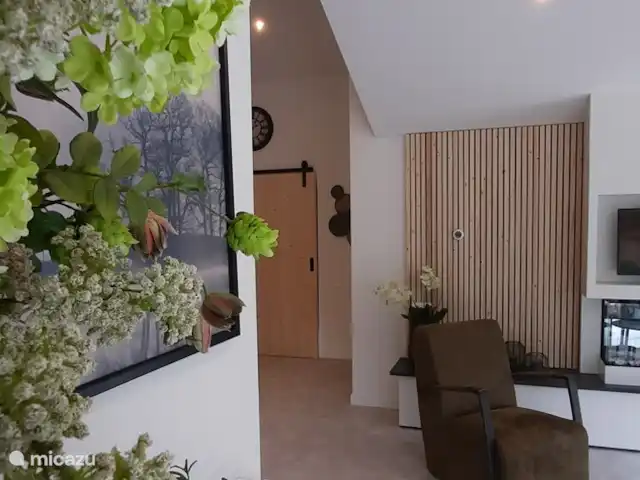 Location de Vacances Pays-Bas, Gueldre, Zelhem, bungalow - Reekamp maison de vacances 3 Salon