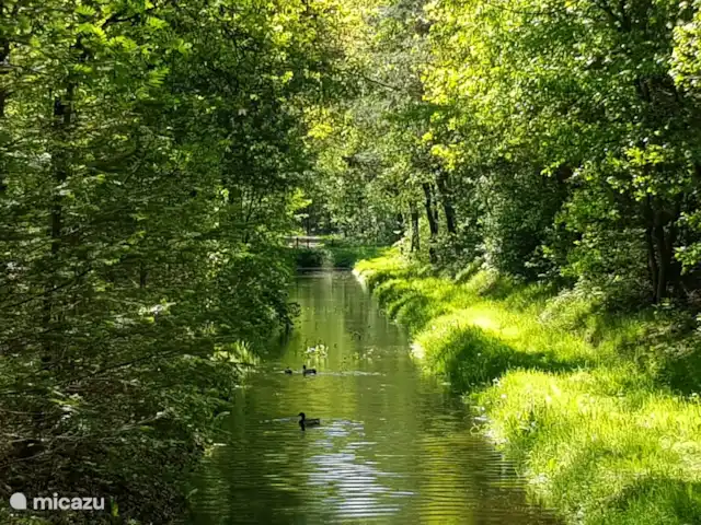 Location de Vacances Pays-Bas, Gueldre, Zelhem, bungalow - Reekamp bungalow 2 Alentours