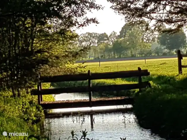 Location de Vacances Pays-Bas, Gueldre, Zelhem, bungalow - Reekamp bungalow 2 Alentours