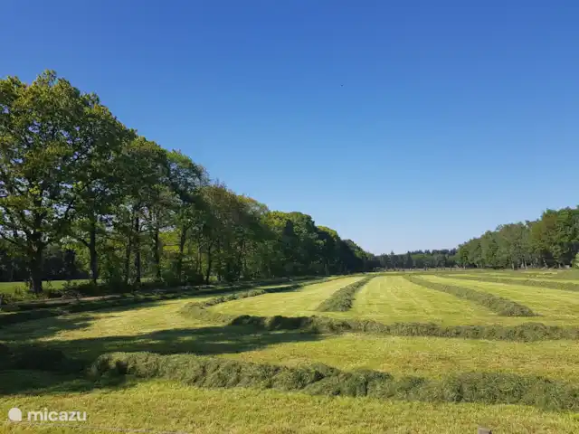 Location de Vacances Pays-Bas, Gueldre, Zelhem, bungalow - Reekamp bungalow 2 Alentours