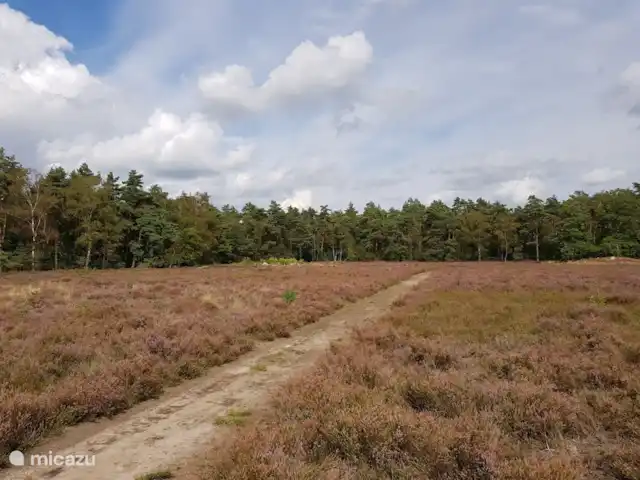 Location de Vacances Pays-Bas, Gueldre, Zelhem, bungalow - Reekamp bungalow 2 Alentours