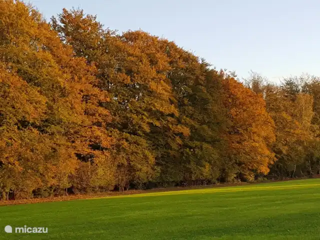 Location de Vacances Pays-Bas, Gueldre, Zelhem, bungalow - Reekamp bungalow 2 Alentours