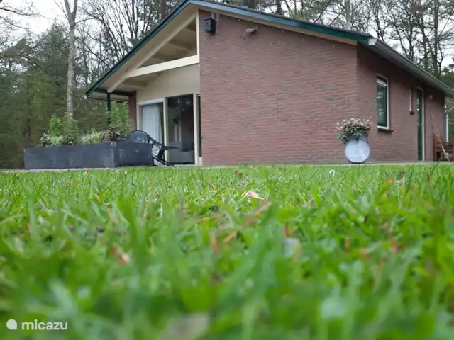 Location de Vacances Pays-Bas, Gueldre, Zelhem, bungalow - Reekamp bungalow 2 Vue extérieure