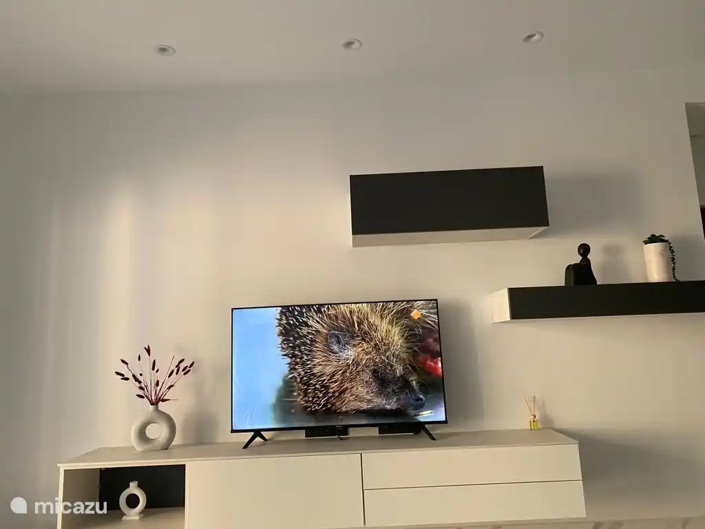 TV avec toutes les chaînes et cromecast