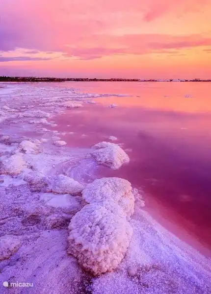 Lac salé à distance de marche