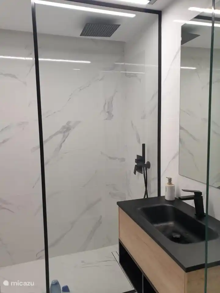 2ème salle de bain moderne avec douche pluie