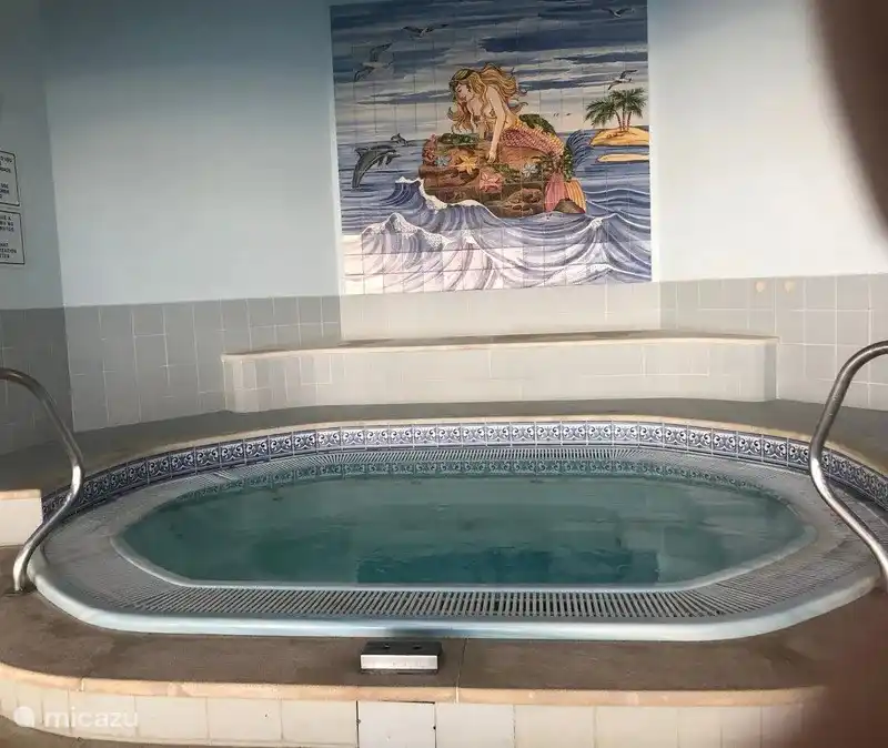 Le magnifique jacuzzi de la piscine intérieure.