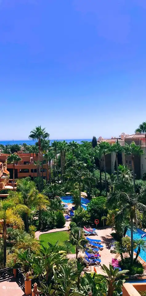 The beautiful garden with swimming pool and the sea view from the terrace