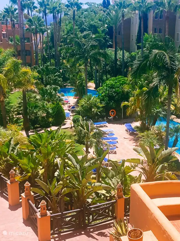 The lovely swimming pool