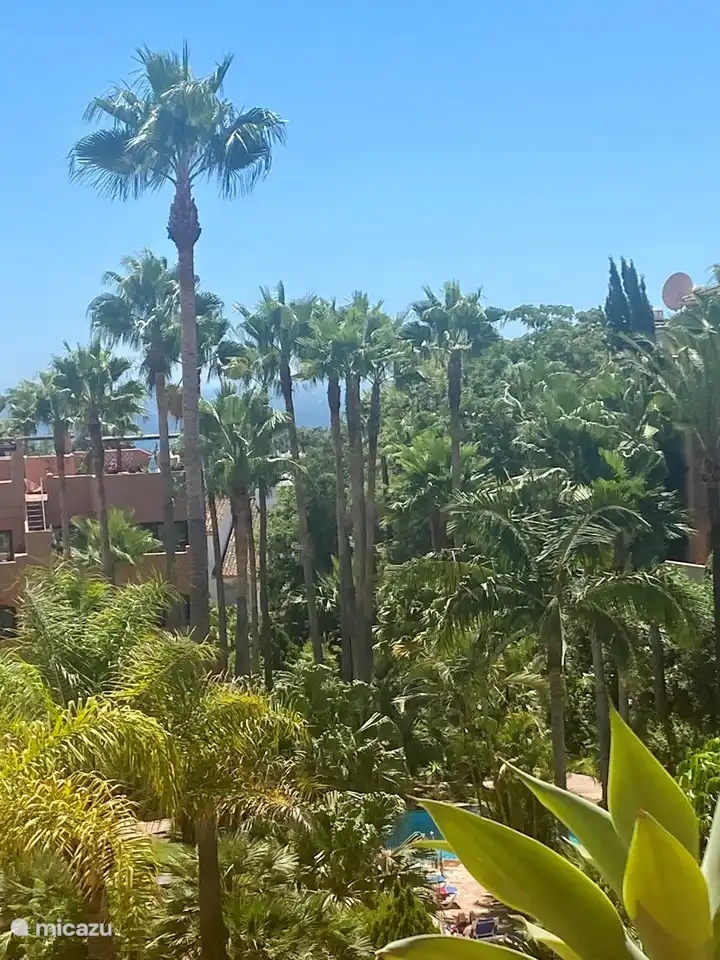 View of the garden which is beautifully lit at night