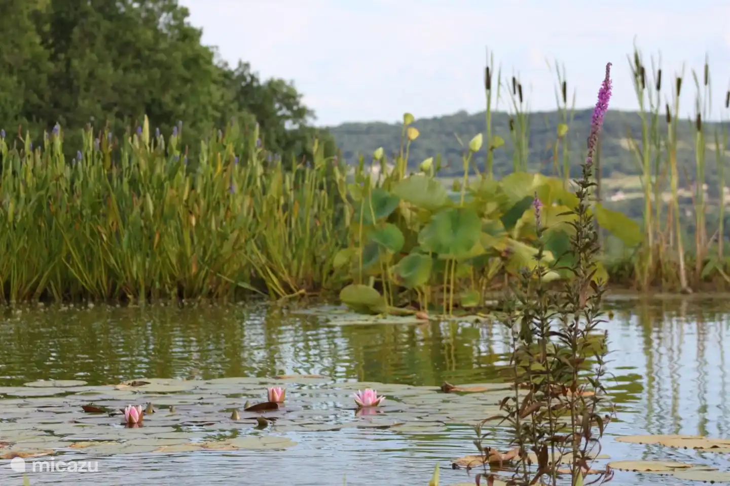 Der Teich bietet einen ruhigen Blick auf das Tal der Dordogne.