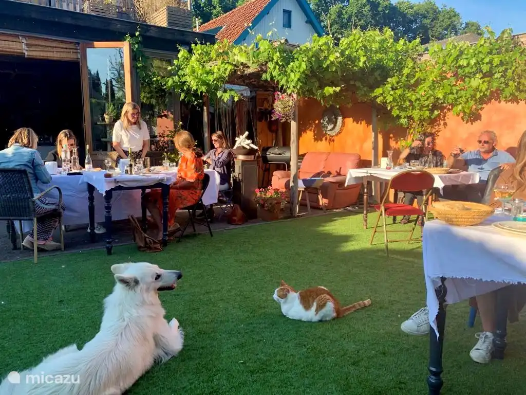 Our cozy courtyard with terrace.