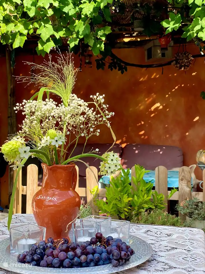 Our cozy courtyard with terrace.