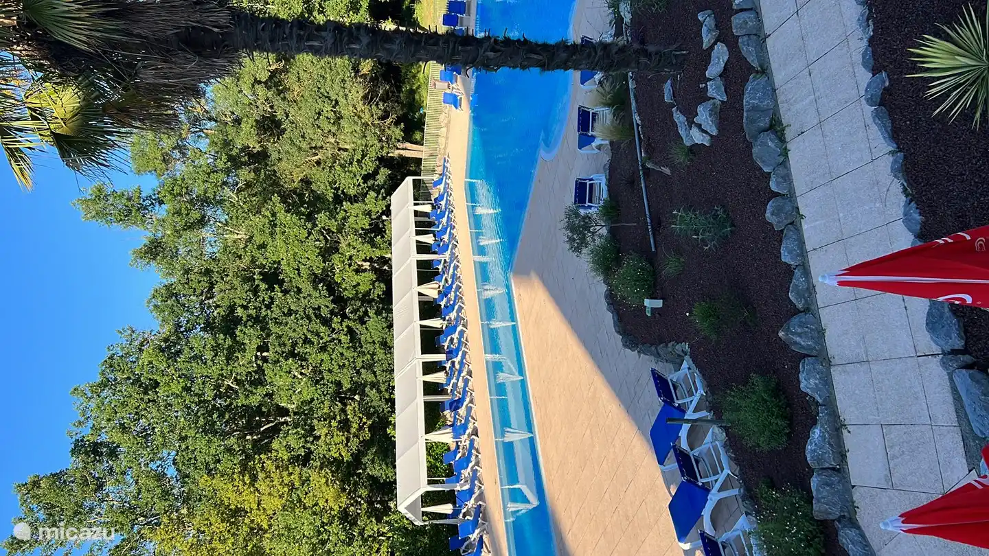 Dos grandes piscinas climatizadas.