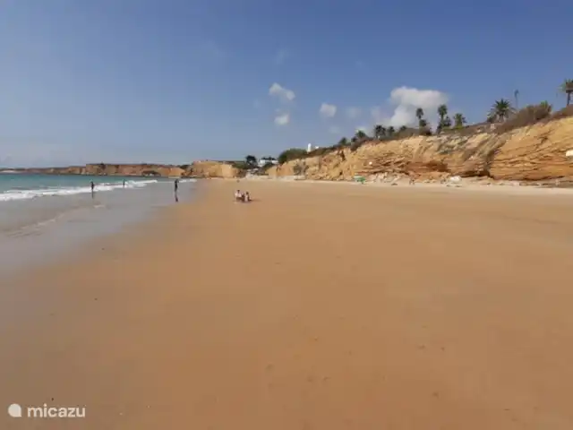 Casas Sol & Luna | Finca Paradiso | Espagne, Andalousie, Conil de la Frontera - maison de vacances 14km de longues plages de sable