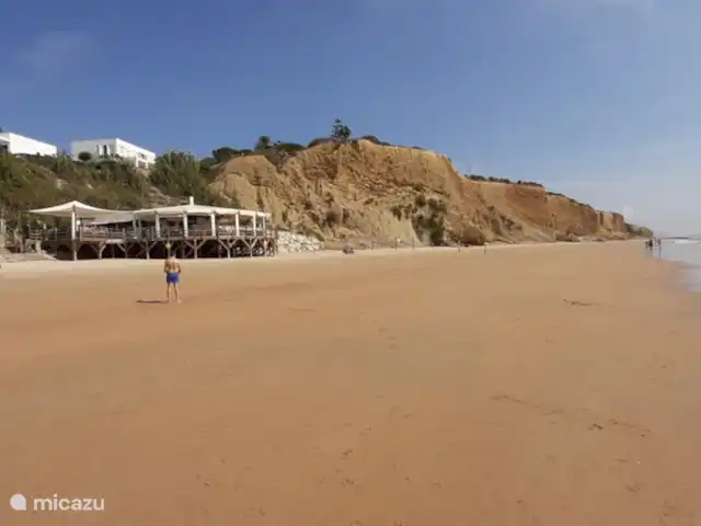 Casas Sol & Luna | Finca Paradiso | Espagne, Andalousie, Conil de la Frontera - maison de vacances 14km de longues plages de sable