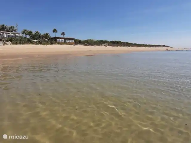 Casas Sol & Luna | Finca Paradiso | Espagne, Andalousie, Conil de la Frontera - maison de vacances 14km de longues plages de sable