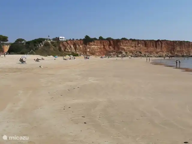 Casas Sol & Luna | Finca Paradiso | Espagne, Andalousie, Conil de la Frontera - maison de vacances A 1500m de la plage la plus proche Cala del Aceite