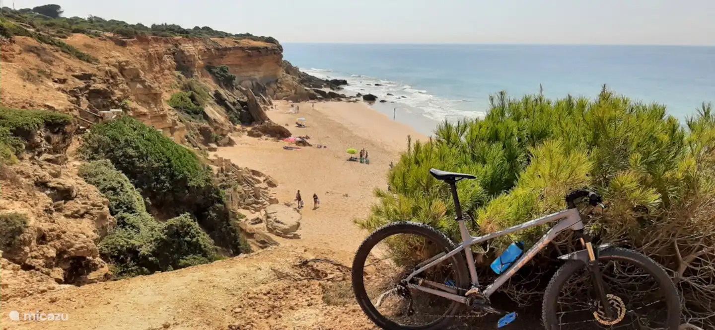 In der Nähe der Strände von Calas del Roche