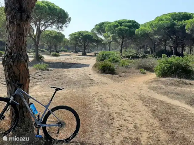 Casas Sol & Luna | Finca Paradiso | Espagne, Andalousie, Conil de la Frontera - maison de vacances A proximité de la pinède pour la marche, le VTT et l'équitation