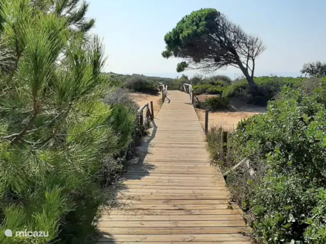 Casas Sol & Luna | Finca Paradiso | Espagne, Andalousie, Conil de la Frontera - maison de vacances A proximité de la pinède pour la marche, le VTT et l'équitation