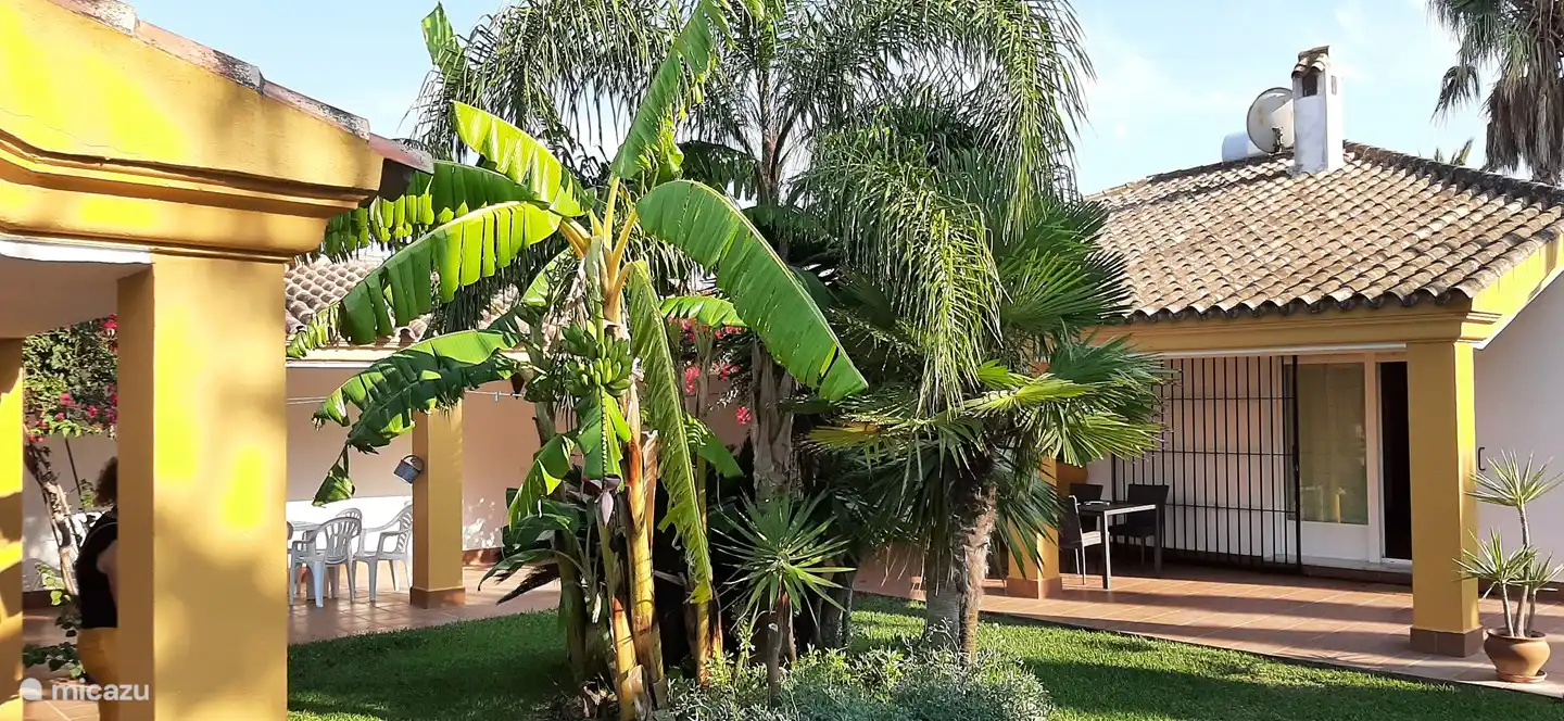 Gemütlicher Innenhof mit überdachter Terrasse
