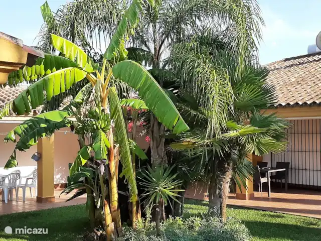 Casas Sol & Luna | Finca Paradiso | Espagne, Andalousie, Conil de la Frontera - maison de vacances Cour cosy avec terrasse couverte