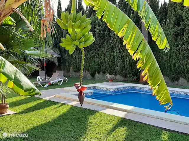 Casas Sol & Luna | Finca Paradiso | Espagne, Andalousie, Conil de la Frontera - maison de vacances Jardin subtropical et grande piscine privée