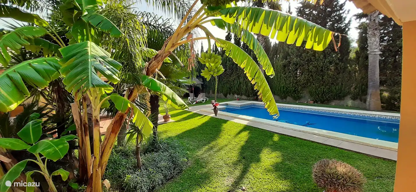 Subtropischer Garten und großer privater Swimmingpool