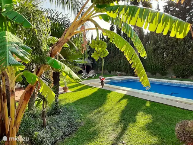 Casas Sol & Luna | Finca Paradiso | Espagne, Andalousie, Conil de la Frontera - maison de vacances Jardin subtropical et grande piscine privée