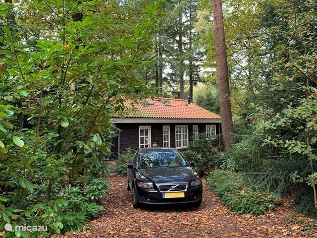 Holiday home in Netherlands, Gelderland, Ermelo - bungalow Cozy cottage on the Veluwe