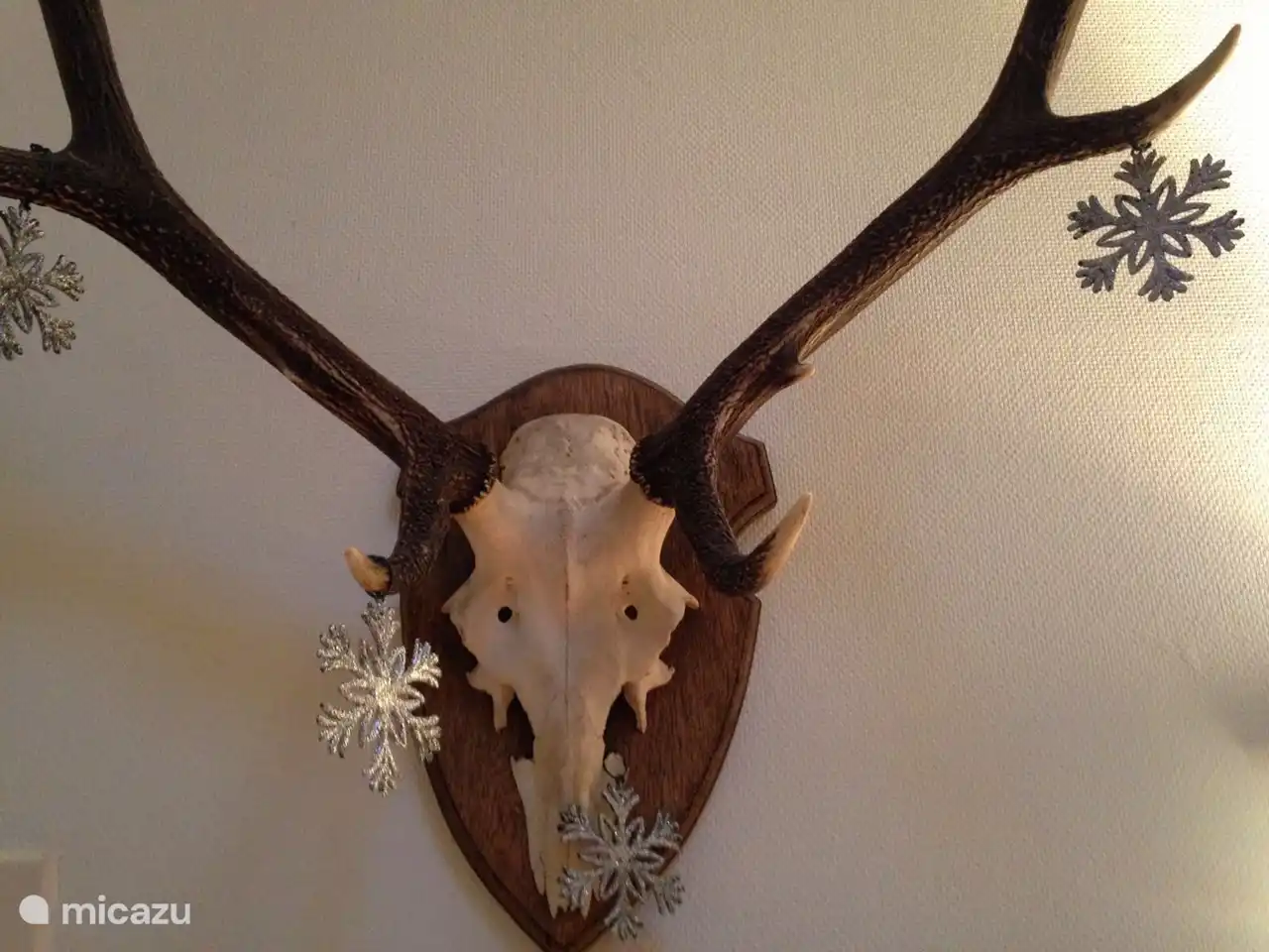 Geweih in weihnachtlicher Atmosphäre