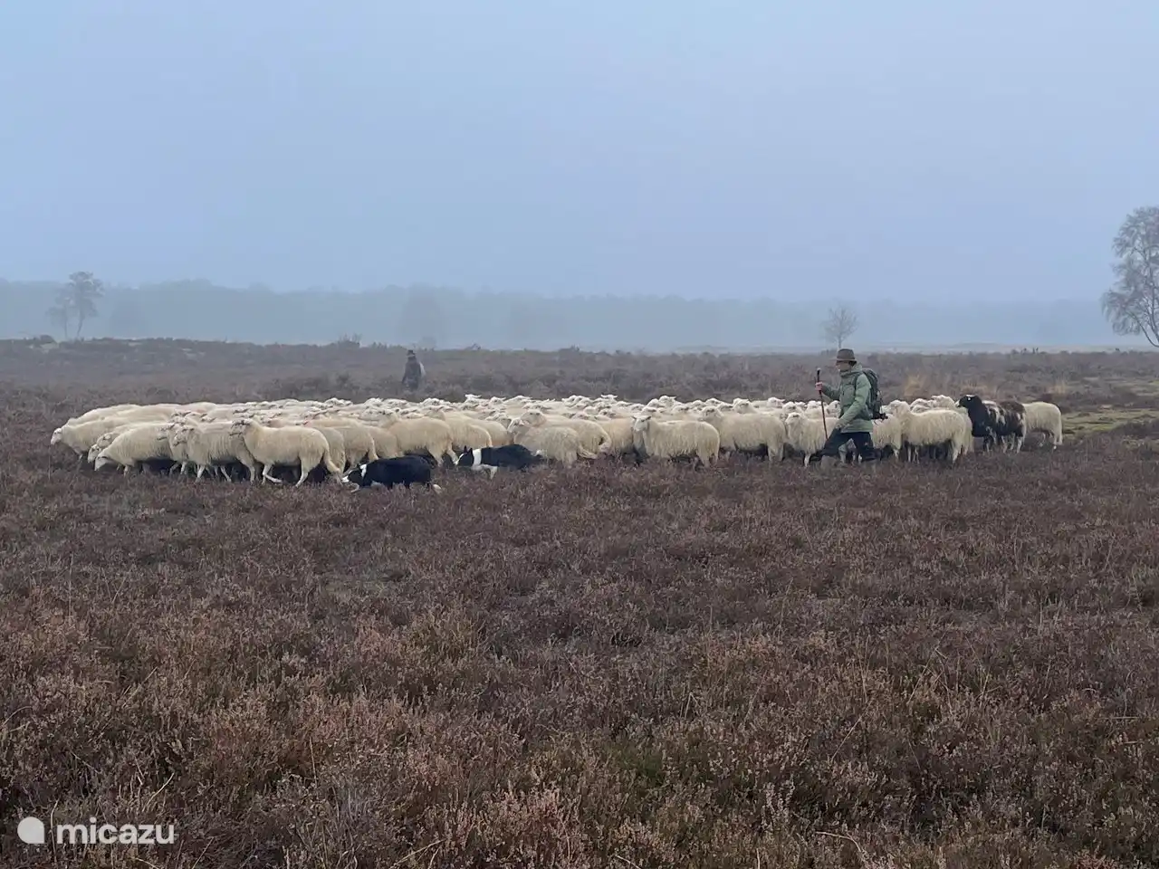 Offene Heide 15 Minuten zu Fuß