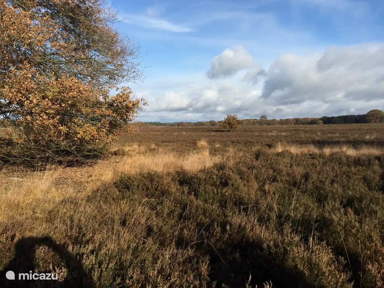 Offene Heide 15 Minuten zu Fuß