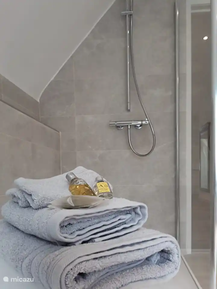 cuarto de baño 1er piso