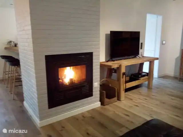 Location de Vacances Belgique, Côte Belge, Nieuwpoort, villa - Villa de beachcomber poêle vivant