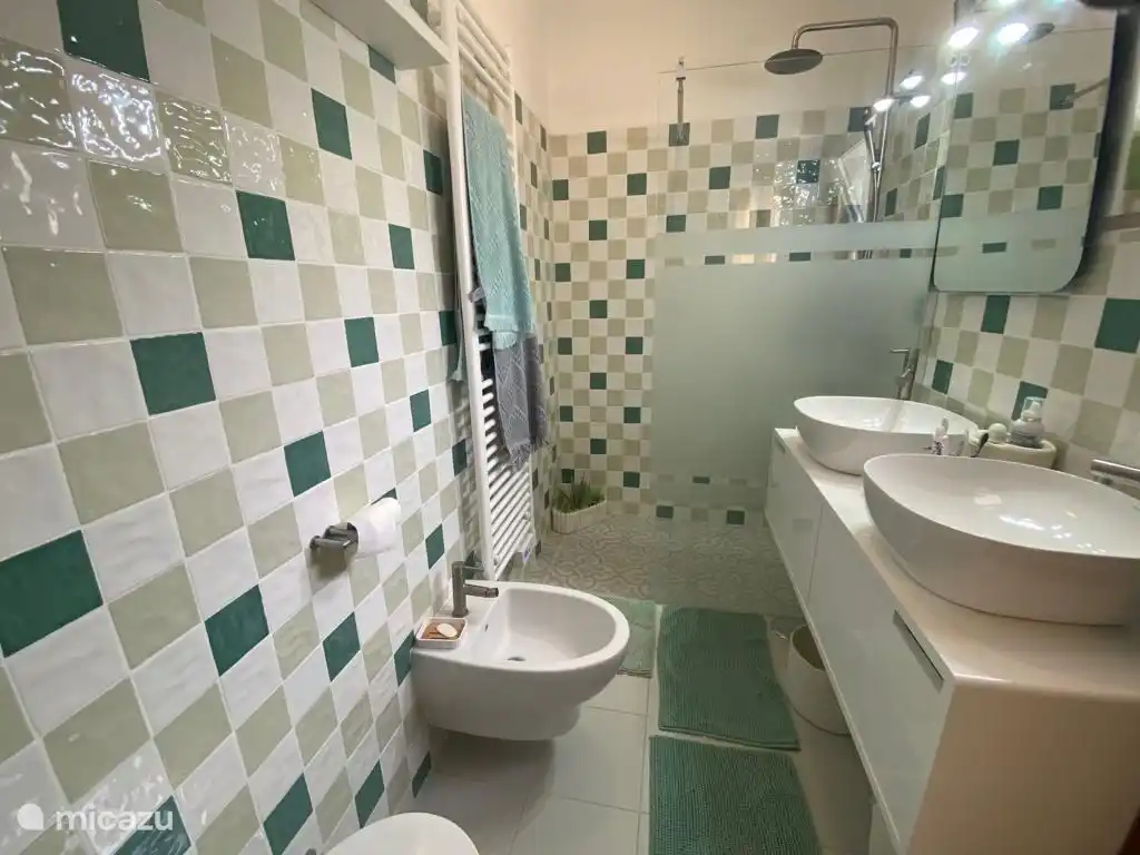 baño en el dormitorio principal 1