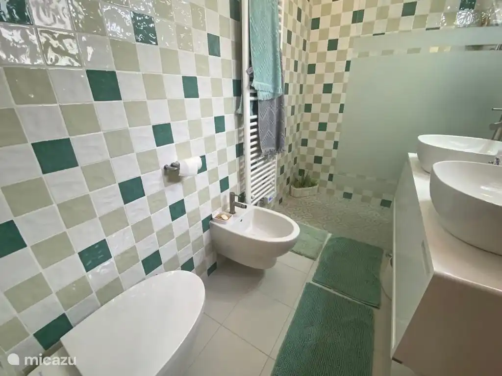 baño en el dormitorio principal 1